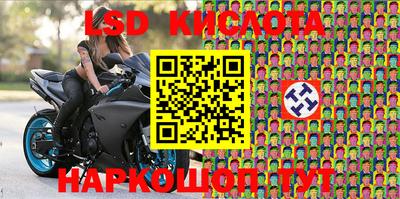 крисы Кимры