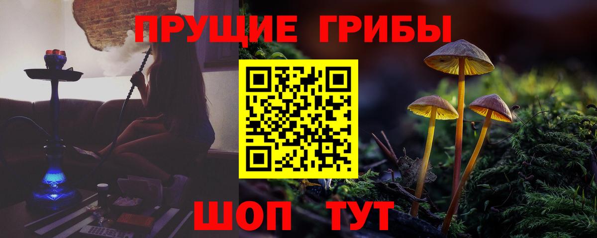 где купить наркотик  Вход с VPN  Магнитогорск  Галлюциногенные грибы Psilocybe  Галлюциногенные грибы ЛСД 
